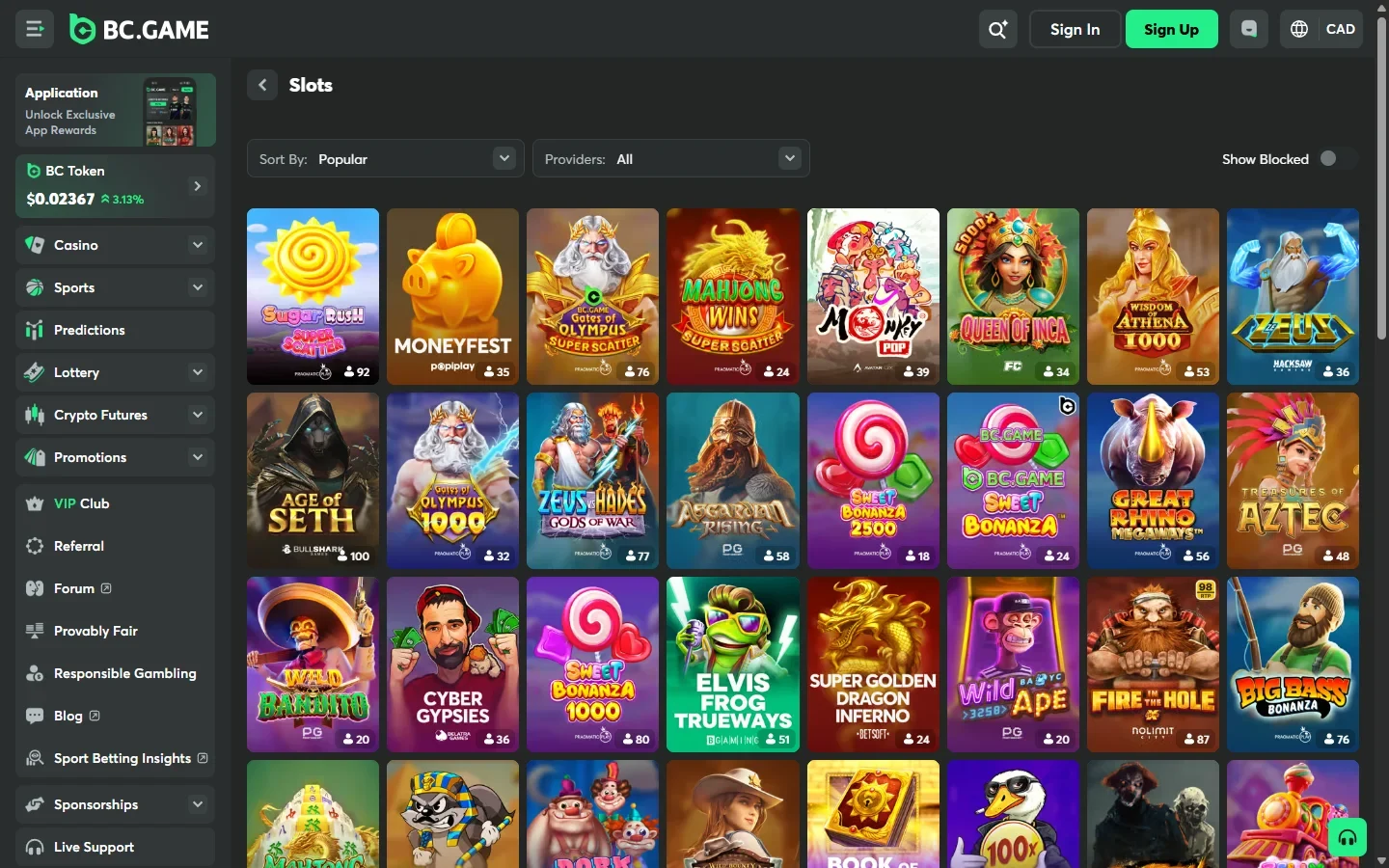 BC.Game slots lobby with provider filter and a switch for blocked titles